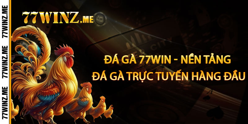 Đá Gà 77Win - Nền Tảng Đá Gà Trực Tuyến Hàng Đầu